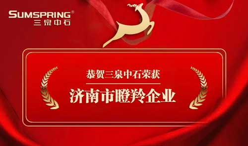 Sumspring三泉中石被认定为“瞪羚企业”(图1)